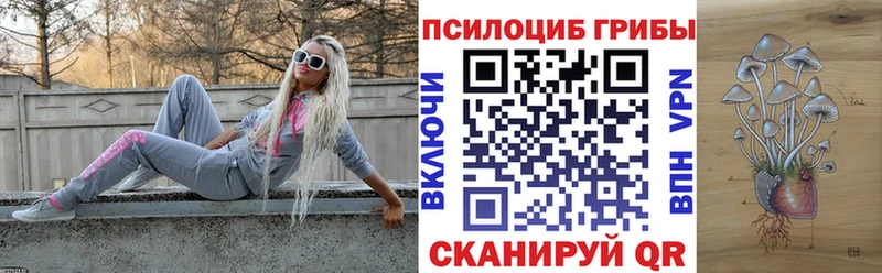 Галлюциногенные грибы Psilocybine cubensis  блэк спрут сайт  Спасск-Рязанский 